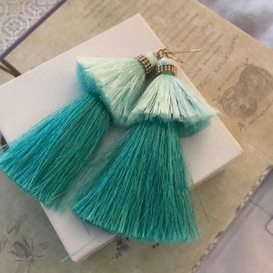 Fun tassel earrings